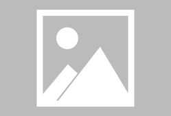 蒂姆重返赛场，最后时刻胜出首场状态出色，西班牙队观众沸腾！赛场气氛高涨的简单介绍-九游官方平台